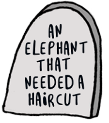 An elephant that needed a haircut